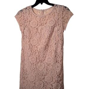 LOFT Blush Lace Mini Dress